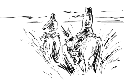 El Viejo Campamento Logo